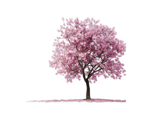 Naklejka premium Cherry_tree