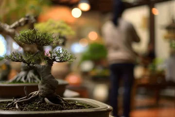 Fotobehang foreground focus on bonsai with blurred person in background © Alfazet Chronicles