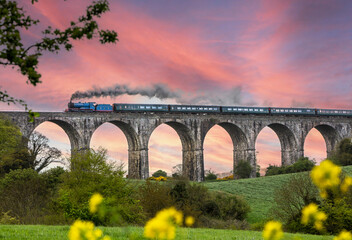 Steam train traveling over a viaduct.