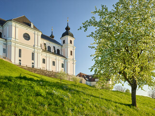 Naklejka premium blühender Birnenbaum, Basilika, Sonntagberg, Niederösterreich, Österreich