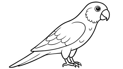 Conures Bird Vector Illustration Add Charm to Your Designs!