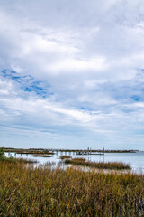 Scenic view of trees and grasses along the Matanzas River, St. Augustine Florida, by the Castillo de San Marcos grounds