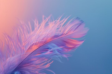 A delicate pink feather with intricate details, set against a vibrant blue background.