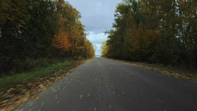 Autumn foliage flies out from under wheels, empty road along fall trees. View through rear windshield windscreen of car in motion, back glass screen. Countryside roadway out of town. Travel journey