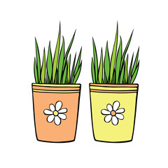 Yellow and orange flower pots with decorative grass, plant. Hand drawn simple outline vector color illustration in doodle style, isolated. Design element, clip art for decoration
