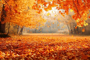 Autumn landscape with bright colorful leaves on the ground,  Indian summer