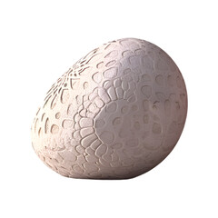  A lone pebble with intricate patterns on a transparent background
