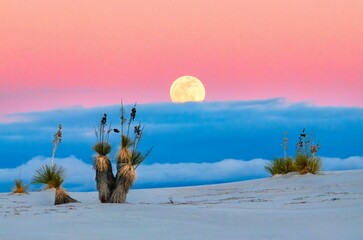 Naklejka premium winter landscape with moon