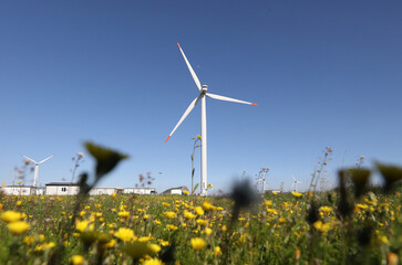 A wind turbine is a device that converts the kinetic energy of wind into electrical energy.