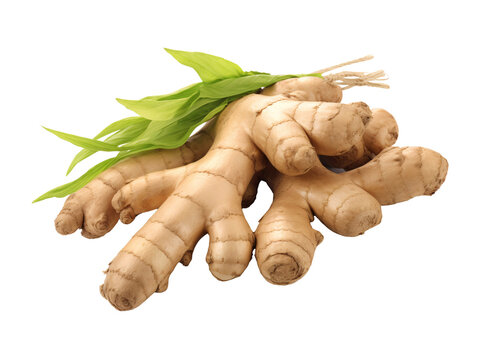 a group of ginger root with leaves