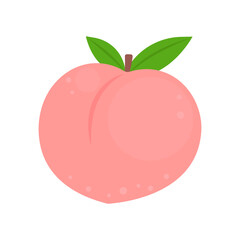 Peach whole fruit isolated on white background. Sweet Japanese white peach icon. Vector illustration of tropical exotic fruits in flat style.