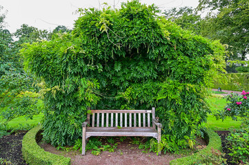 A wooden bench framed by a green bush with leaves, break in the Sofiero Palace Gardens park in the Sofiero Castle, Sofiero Slott och Slottsträdgard in Helsingborg, Sweden	
