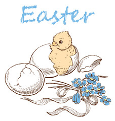 Newborn hatched Easter chick, eggs, delicate violets bouquet with ribbon, greeting card, hand drawn vector illustration - 763981797