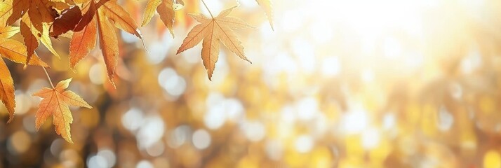 Vibrant autumn orange banner with blurred maple leaves for seasonal background design - obrazy, fototapety, plakaty