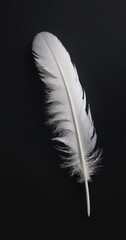 A vertical white feather exudes softness, contrasted with the dark surroundings, a study in detail and texture. AI generation