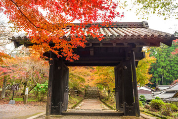福岡県　紅葉が美しい秋月城跡