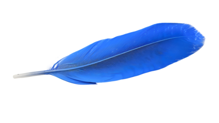  A vibrant blue feather floating gracefully against a transparent background