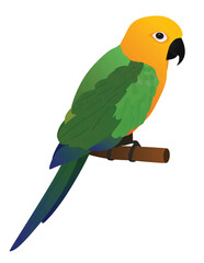Colorful bird standing. vector illustration