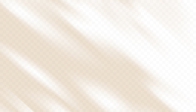 Leaves shadow with light,Brown reflection surface on wall,Vector elements design for overlay on Studio Background, Product design Podium Display