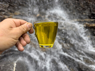 Hot yellow crocus tea drinking from a cup next to a waterfall in nature