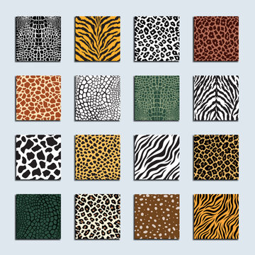 Collection of print skins - Animal skin seamless pattern set - deer, cheetah, giraffe, tiger, zebra, reptile, leopard, alligator, jaguar, cow - Vector illustration.