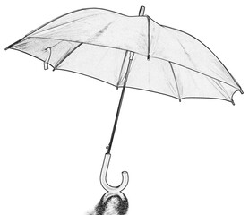 parapluie - 763994914