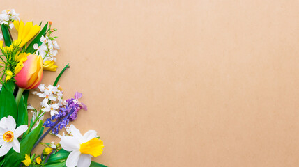 Beautiful spring flowers on paper background with copy space