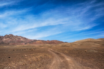 dirt road in the steppe on a sunny spring day under a beautiful blue sky
