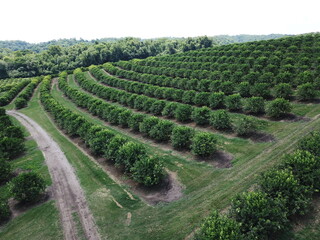 Fototapety na wymiar - Fototapeta24.pl