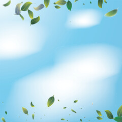 Green Tea Leaves Falling Confetti on Blue Ske Background. Tea Frame. Eco Organic Beauty Product Border. 3d Realistic Mint Plant Illustration. Olive Herb Foliage Mockup Poster. Spring Natural Banner - 763998936