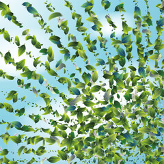 Green Tea Leaves Falling from Corner Confetti on Blue Ske Background. 3d Mint Plant Illustration. Eco Organic Beauty Product Border. Olive Herb Foliage Mockup Poster. Spring Natural Banner Tea Frame. - 763999197