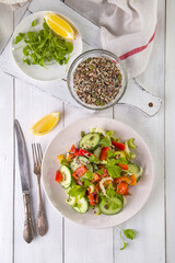 Salad of fresh cucumbers, celery, sweet peppers, herbs and pumpkin seeds, sunflowers, sesame seeds with olive oil. Healthy vegetarian, vegan food. Italian Cuisine