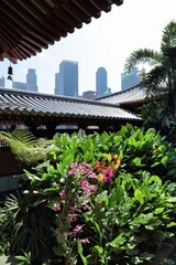 Fototapeta na wymiar Buddha Tooth Relic Temple garden in Singapore