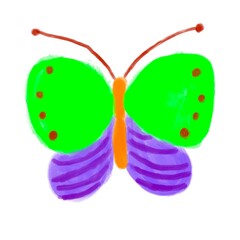 butterfly