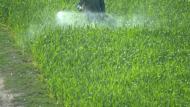 Men Respirators Spray Toxic Pesticides, Pesticides and Insecticides on Plantations. Industrial Chemical Agriculture. Pest Control Service. Spray Fumigation for Weed Control.Farmer spraying pesticides 