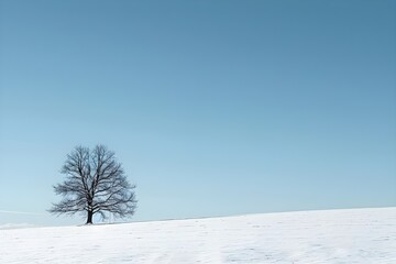 Fototapeta na wymiar A lone tree stands in the middle of a snow - covered field with a blue sky and clouds in the background,tree in snow,snow covered trees