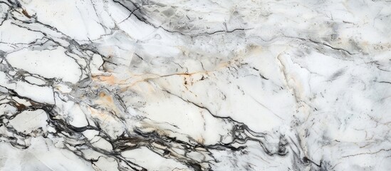 An artistic close up of a bedrocklike white marble texture with intricate black veins, resembling a...