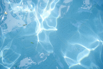Close up of an abstract blue color water wave, swirl pattern texture. Leaves in dirty water, outdoor swimming pool. Background, backdrop with copy space.