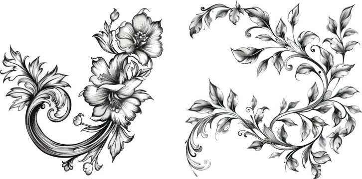  Floral ornamental doodle dividers