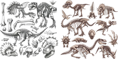 Dino bones, stegosaurus fossil and tyrannosaurus skeleton
