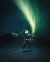 whale watching, northern lights, whale jumping out of the water, humpback, Iceland, Alaska 