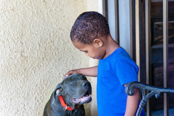 african boy playing with his boerboel puppy dog in front of the house, in the township, in the...