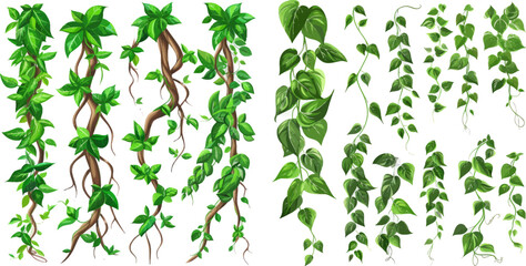 Liana tropical plants. Branch liana or vine plant, jungle creeper forest - obrazy, fototapety, plakaty