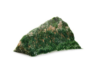 sea stone with algae isolated on white background - 764019767