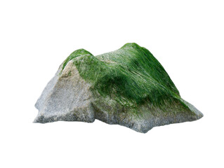 sea stone with algae isolated on white background