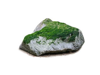 sea stone with algae isolated on white background