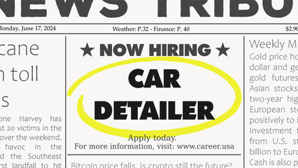 Car detailer career