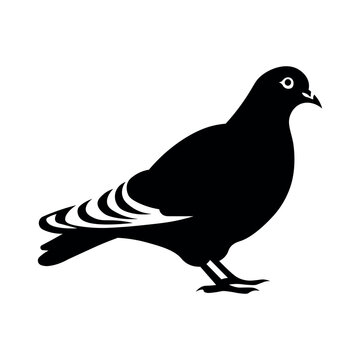 black vector pigeon icon on white background