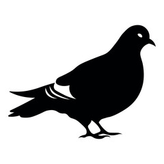 black vector pigeon icon on white background