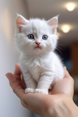 An adorable tiny white kitten on a human hand, vertical composition